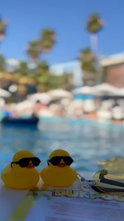 DJ POOLPARTY