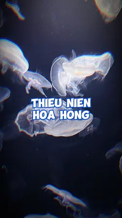 Mẫu 2 Pic Buồn