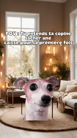 Shocked dog 