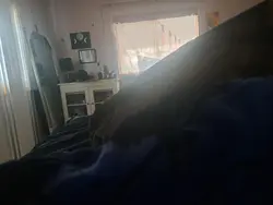 Idfk