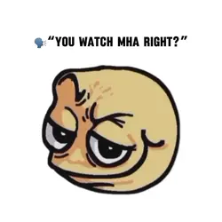 You watch MHA right?