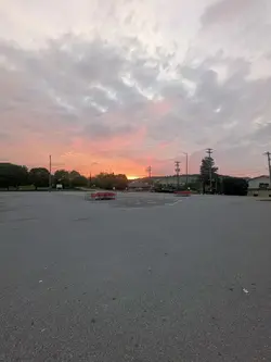 <333