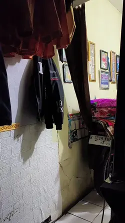 sapi pake kacamata 