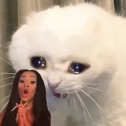 OMG WHAT IS THAT?