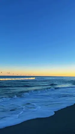 Video or photo 