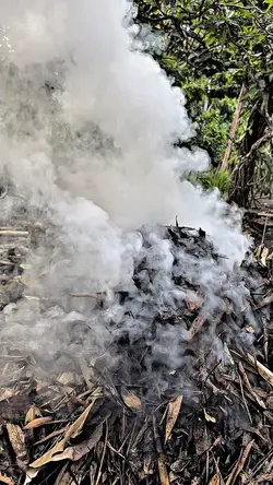 Slowmo 1 Video