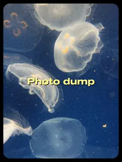 Photo dump 