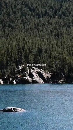 this & no internet 