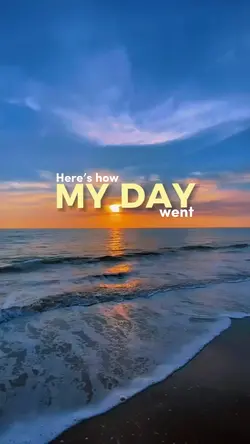 today’s Dump