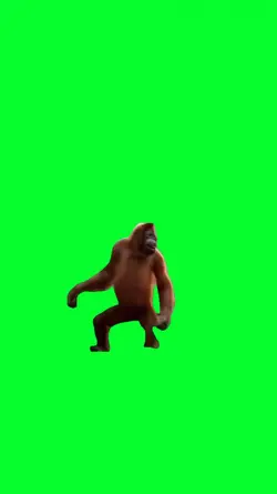 orangutan dance