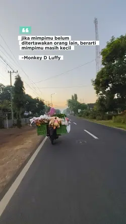 monkey d Luffy 