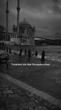 Yeni şablon