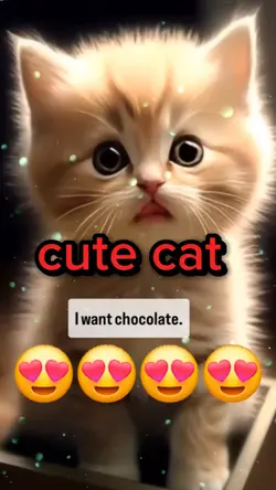 I want chocolate