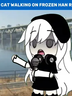 KOREAN REPORT