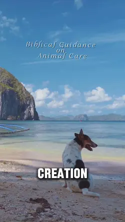 🐾