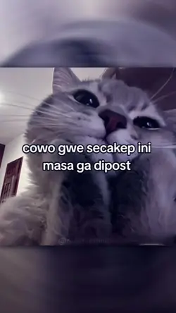 cowo gw secakep ini