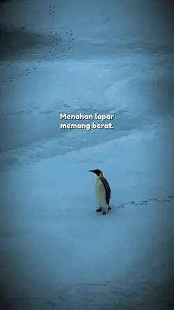 story