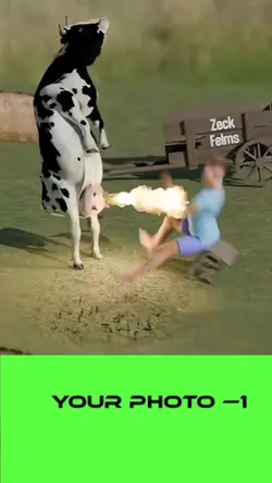 new viral video
