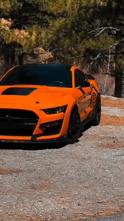 CAR ||| TOP🥊🔥