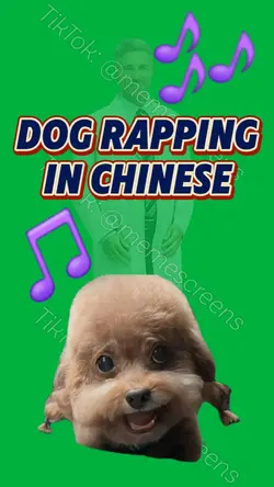 CHINESE RAP DOG MEME