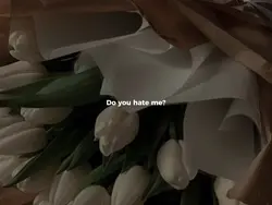love me or leave me
