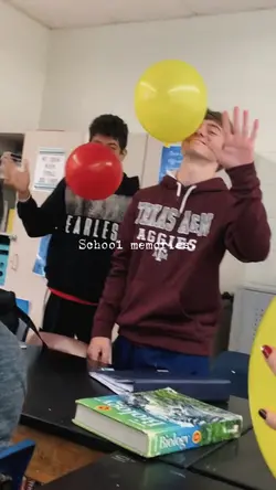 school memories 