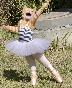 ballerina cappucinna