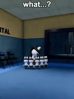 animal hôpital