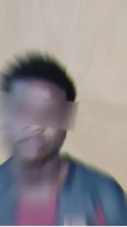 Coco new template