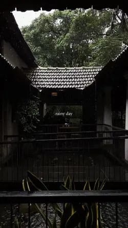 rainy day