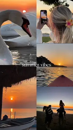 summer vibes 