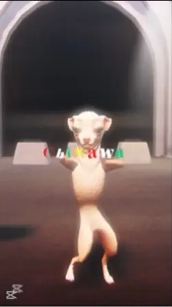 Chiwawa edit  