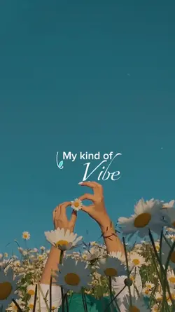 My kind of Vibe