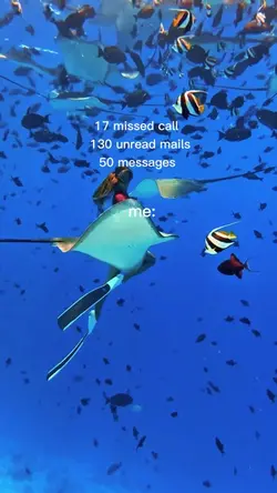 17 missed call