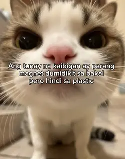 magnet or plastic?