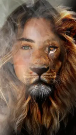 LION TRANSITION