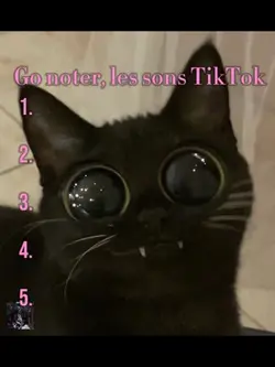 Note les song tiktok