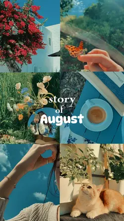 story of august