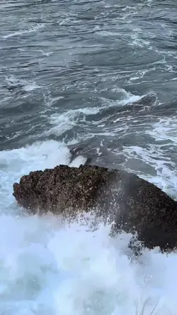 BEACH SLOWMO TREND