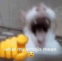 what my emojis mean