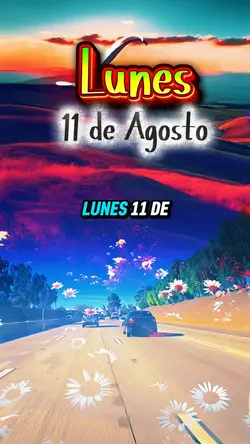 Lunes 11 de Agosto 