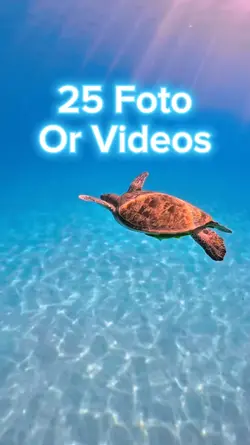 25 Foto Slides
