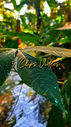 5 Clips Videos 
