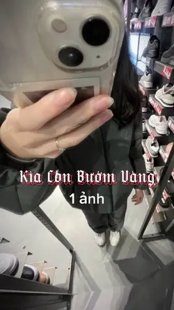 Kìa Con Bướm Vàng