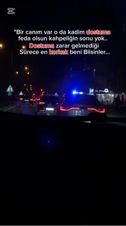 Bir canım var dostum