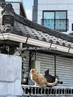 Lengah dikit