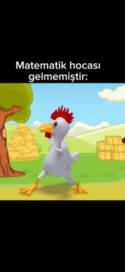 matematik hocası
