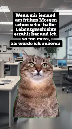Meme Katze Büro