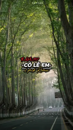 CÓ LẼ EM REMIX 