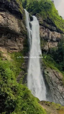 Nature Heals 🍃